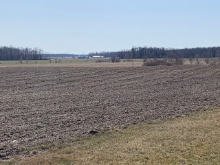 Property photo 12 - REAL ESTATE AUCTION - 64+/- ACRES OFFERED IN 5 TRACTS OR COMBINATIONS IN ALLEN COUNTY, INDIANA