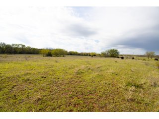 Property photo 50 - LAND AUCTION - 150+/- ACRES OFFERED IN 12 TRACTS IN PAYNE COUNTY, OKLAHOMA