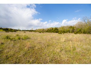 Property photo 51 - LAND AUCTION - 150+/- ACRES OFFERED IN 12 TRACTS IN PAYNE COUNTY, OKLAHOMA