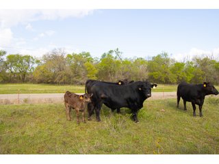 Property photo 53 - LAND AUCTION - 150+/- ACRES OFFERED IN 12 TRACTS IN PAYNE COUNTY, OKLAHOMA