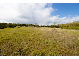 Property photo 56 - LAND AUCTION - 150+/- ACRES OFFERED IN 12 TRACTS IN PAYNE COUNTY, OKLAHOMA