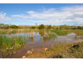 Property photo 60 - LAND AUCTION - 150+/- ACRES OFFERED IN 12 TRACTS IN PAYNE COUNTY, OKLAHOMA