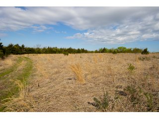 Property photo 62 - LAND AUCTION - 150+/- ACRES OFFERED IN 12 TRACTS IN PAYNE COUNTY, OKLAHOMA