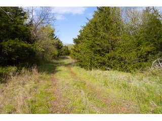 Property photo 64 - LAND AUCTION - 150+/- ACRES OFFERED IN 12 TRACTS IN PAYNE COUNTY, OKLAHOMA
