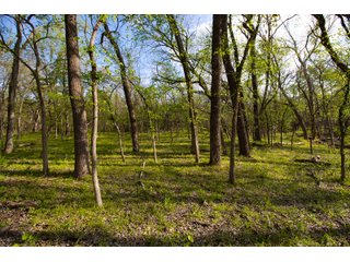 Property photo 10 - LAND AUCTION - 150+/- ACRES OFFERED IN 12 TRACTS IN PAYNE COUNTY, OKLAHOMA
