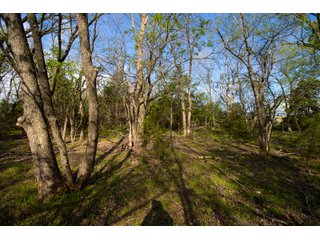 Property photo 11 - LAND AUCTION - 150+/- ACRES OFFERED IN 12 TRACTS IN PAYNE COUNTY, OKLAHOMA