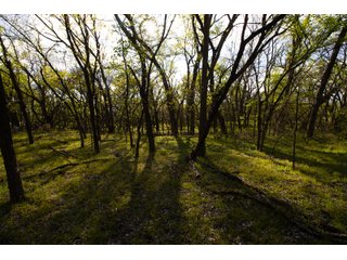 Property photo 13 - LAND AUCTION - 150+/- ACRES OFFERED IN 12 TRACTS IN PAYNE COUNTY, OKLAHOMA