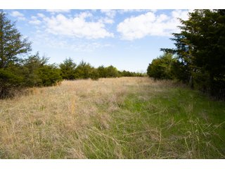 Property photo 21 - LAND AUCTION - 150+/- ACRES OFFERED IN 12 TRACTS IN PAYNE COUNTY, OKLAHOMA