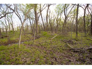 Property photo 30 - LAND AUCTION - 150+/- ACRES OFFERED IN 12 TRACTS IN PAYNE COUNTY, OKLAHOMA