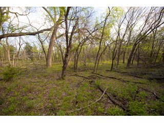 Property photo 35 - LAND AUCTION - 150+/- ACRES OFFERED IN 12 TRACTS IN PAYNE COUNTY, OKLAHOMA
