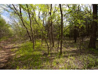 Property photo 40 - LAND AUCTION - 150+/- ACRES OFFERED IN 12 TRACTS IN PAYNE COUNTY, OKLAHOMA