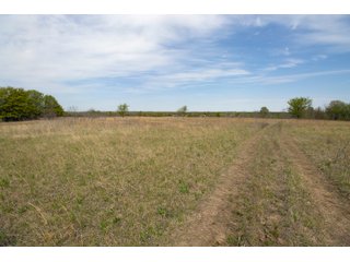 Tract 10 land in Creek County, Oklahoma - LAND AUCTION - 1,278+/- ACRES OFFERED IN 21 TRACTS IN CREEK COUNTY, OKLAHOMA