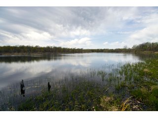 Tract 1 land in Creek County, Oklahoma - LAND AUCTION - 1,278+/- ACRES OFFERED IN 21 TRACTS IN CREEK COUNTY, OKLAHOMA