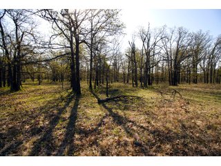 Tract 13 land in Creek County, Oklahoma - LAND AUCTION - 1,278+/- ACRES OFFERED IN 21 TRACTS IN CREEK COUNTY, OKLAHOMA