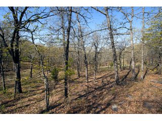 Tract 13 land in Creek County, Oklahoma - LAND AUCTION - 1,278+/- ACRES OFFERED IN 21 TRACTS IN CREEK COUNTY, OKLAHOMA