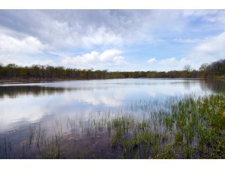 Tract 13 land in Creek County, Oklahoma - LAND AUCTION - 1,278+/- ACRES OFFERED IN 21 TRACTS IN CREEK COUNTY, OKLAHOMA