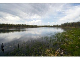 Tract 1 land in Creek County, Oklahoma - LAND AUCTION - 1,278+/- ACRES OFFERED IN 21 TRACTS IN CREEK COUNTY, OKLAHOMA