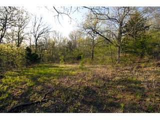 Tract 14 land in Creek County, Oklahoma - LAND AUCTION - 1,278+/- ACRES OFFERED IN 21 TRACTS IN CREEK COUNTY, OKLAHOMA
