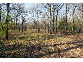 Tract 14 land in Creek County, Oklahoma - LAND AUCTION - 1,278+/- ACRES OFFERED IN 21 TRACTS IN CREEK COUNTY, OKLAHOMA