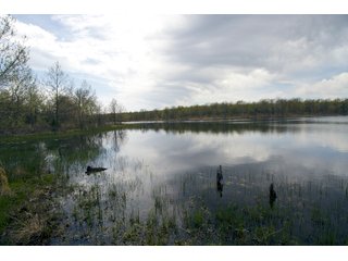 Tract 1 pond in Creek County, Oklahoma - LAND AUCTION - 1,278+/- ACRES OFFERED IN 21 TRACTS IN CREEK COUNTY, OKLAHOMA