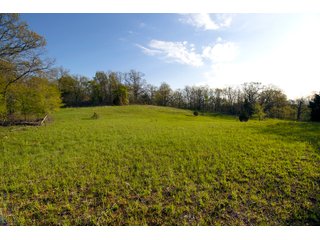 Tract 15 land in Creek County, Oklahoma - LAND AUCTION - 1,278+/- ACRES OFFERED IN 21 TRACTS IN CREEK COUNTY, OKLAHOMA