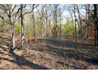 Tract 16 land in Creek County, Oklahoma - LAND AUCTION - 1,278+/- ACRES OFFERED IN 21 TRACTS IN CREEK COUNTY, OKLAHOMA