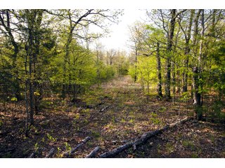 Tract 16 land in Creek County, Oklahoma - LAND AUCTION - 1,278+/- ACRES OFFERED IN 21 TRACTS IN CREEK COUNTY, OKLAHOMA