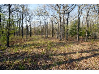 Tract 17 land in Creek County, Oklahoma - LAND AUCTION - 1,278+/- ACRES OFFERED IN 21 TRACTS IN CREEK COUNTY, OKLAHOMA