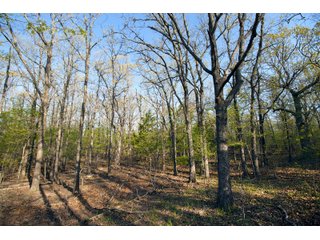 Tract 19 land in Creek County, Oklahoma - LAND AUCTION - 1,278+/- ACRES OFFERED IN 21 TRACTS IN CREEK COUNTY, OKLAHOMA