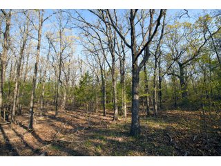 Tract 19 land in Creek County, Oklahoma - LAND AUCTION - 1,278+/- ACRES OFFERED IN 21 TRACTS IN CREEK COUNTY, OKLAHOMA