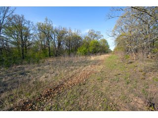 Tract 19 land in Creek County, Oklahoma - LAND AUCTION - 1,278+/- ACRES OFFERED IN 21 TRACTS IN CREEK COUNTY, OKLAHOMA