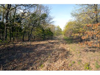 Tract 19 land in Creek County, Oklahoma - LAND AUCTION - 1,278+/- ACRES OFFERED IN 21 TRACTS IN CREEK COUNTY, OKLAHOMA