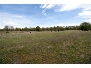 Tract 2 land in Creek County, Oklahoma - LAND AUCTION - 1,278+/- ACRES OFFERED IN 21 TRACTS IN CREEK COUNTY, OKLAHOMA