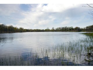 Tract 3 land in Creek County, Oklahoma - LAND AUCTION - 1,278+/- ACRES OFFERED IN 21 TRACTS IN CREEK COUNTY, OKLAHOMA