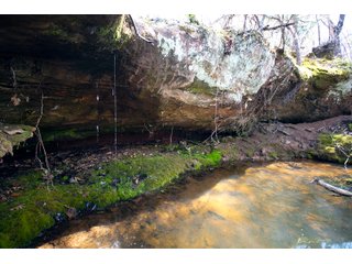 Tract 4 land in Creek County, Oklahoma - LAND AUCTION - 1,278+/- ACRES OFFERED IN 21 TRACTS IN CREEK COUNTY, OKLAHOMA