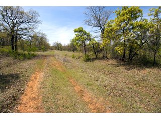 Tract 5 land in Creek County, Oklahoma - LAND AUCTION - 1,278+/- ACRES OFFERED IN 21 TRACTS IN CREEK COUNTY, OKLAHOMA