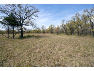 Tract 6 land in Creek County, Oklahoma - LAND AUCTION - 1,278+/- ACRES OFFERED IN 21 TRACTS IN CREEK COUNTY, OKLAHOMA