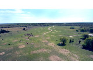 Tract 8 land in Creek County, Oklahoma - LAND AUCTION - 1,278+/- ACRES OFFERED IN 21 TRACTS IN CREEK COUNTY, OKLAHOMA