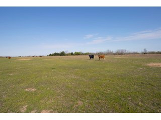 Tract 8 land in Creek County, Oklahoma - LAND AUCTION - 1,278+/- ACRES OFFERED IN 21 TRACTS IN CREEK COUNTY, OKLAHOMA