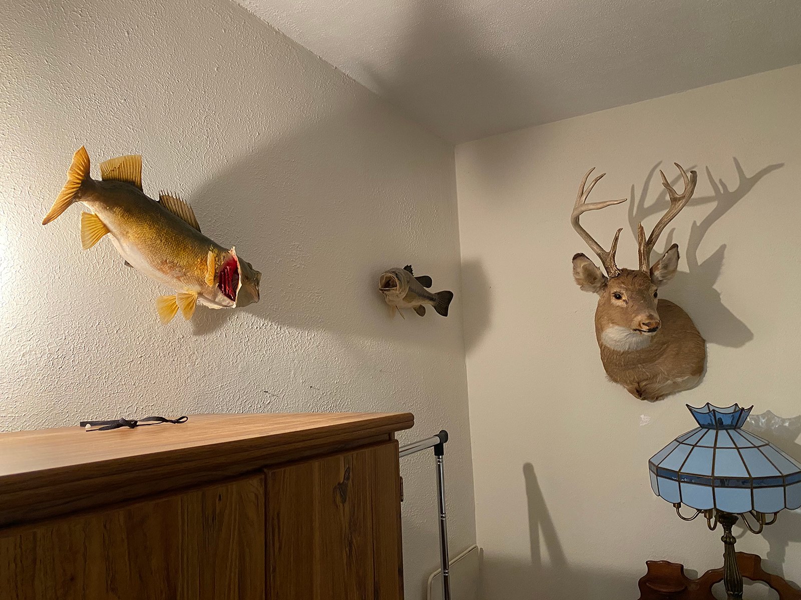 Property photo 22 - TIMED ONLINE ONLY - PERSONAL PROPERTY AUCTION IN BRANCH COUNTY, MICHIGAN