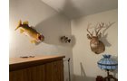 Property photo 22 - TIMED ONLINE ONLY - PERSONAL PROPERTY AUCTION IN BRANCH COUNTY, MICHIGAN