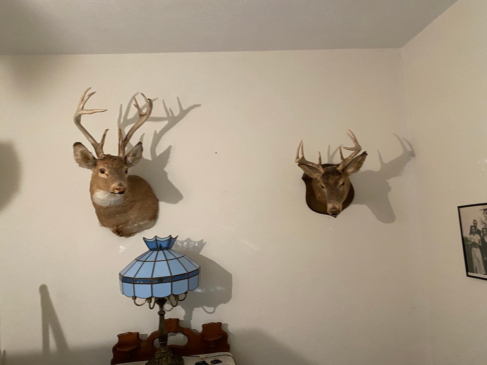 Property photo 23 - TIMED ONLINE ONLY - PERSONAL PROPERTY AUCTION IN BRANCH COUNTY, MICHIGAN