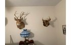 Property photo 23 - TIMED ONLINE ONLY - PERSONAL PROPERTY AUCTION IN BRANCH COUNTY, MICHIGAN
