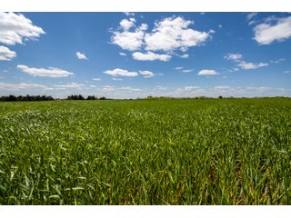 Property photo 39 - LAND AUCTION - 318+/- ACRES OFFERED IN 19 TRACTS IN CANADIAN COUNTY, OKLAHOMA