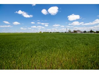Property photo 41 - LAND AUCTION - 318+/- ACRES OFFERED IN 19 TRACTS IN CANADIAN COUNTY, OKLAHOMA