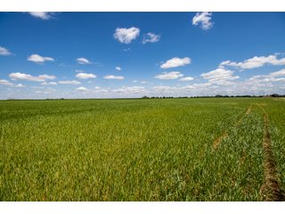 Property photo 43 - LAND AUCTION - 318+/- ACRES OFFERED IN 19 TRACTS IN CANADIAN COUNTY, OKLAHOMA