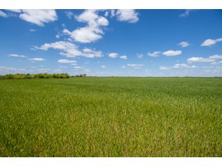 Property photo 44 - LAND AUCTION - 318+/- ACRES OFFERED IN 19 TRACTS IN CANADIAN COUNTY, OKLAHOMA