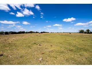 Property photo 46 - LAND AUCTION - 318+/- ACRES OFFERED IN 19 TRACTS IN CANADIAN COUNTY, OKLAHOMA