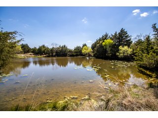 Property photo 55 - LAND AUCTION - 318+/- ACRES OFFERED IN 19 TRACTS IN CANADIAN COUNTY, OKLAHOMA