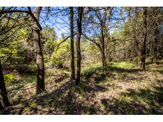 Property photo 60 - LAND AUCTION - 318+/- ACRES OFFERED IN 19 TRACTS IN CANADIAN COUNTY, OKLAHOMA